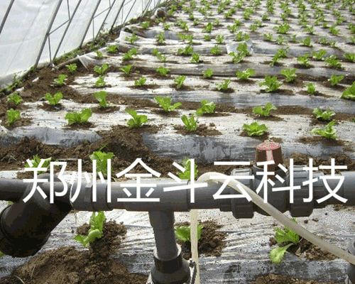 好色TV在线观看係統
