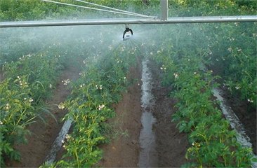 好色TV在线观看係統廠家