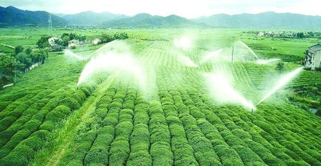 農業好色TV在线观看