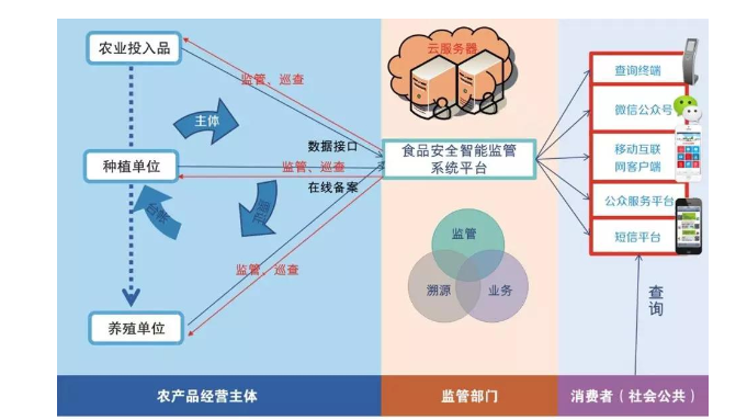 農業好色TV在线观看